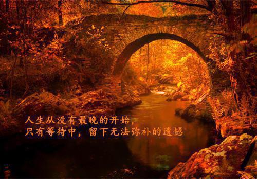 秋季吃3款药膳，助你快速减肥