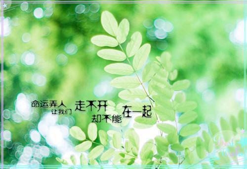 吃这些东西轻松治好你的口腔溃疡