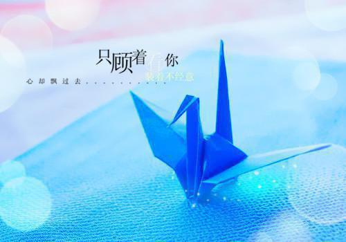 产后新妈妈 吃鸡肉也有选择哦