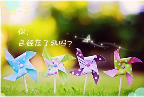 补血吃这些，再也不贫血