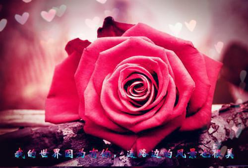 排骨汤不放盐更补钙