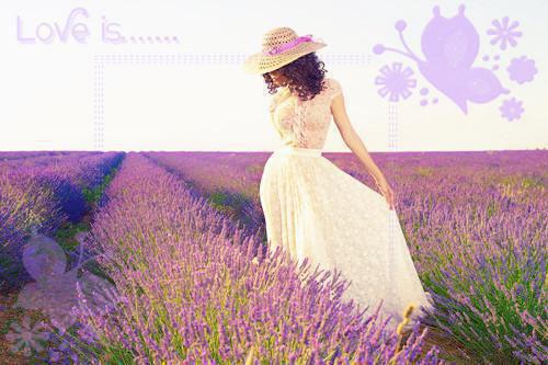 莼菜营养价值剖析