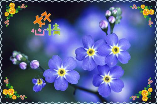 女性养护子宫就靠这5种食物