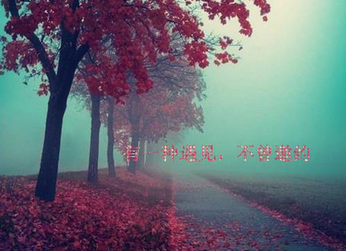 婴儿补钙 按“月”区别