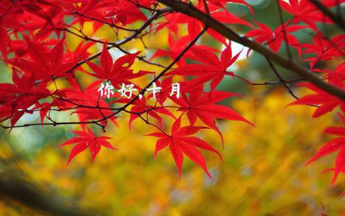 给宝宝吃糯米的三大正确方法