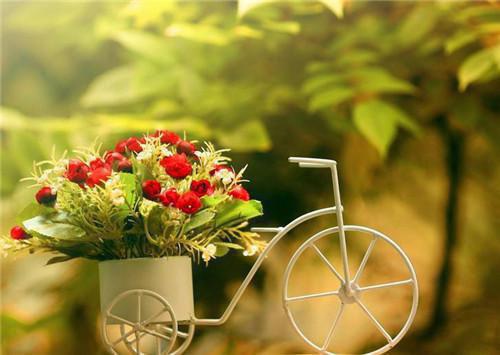 几种可以治病的米饭