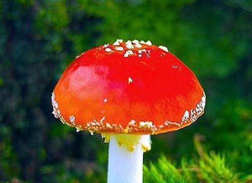宝宝冬季应该吃些什么水果