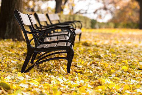 一天十枣　天天身体好