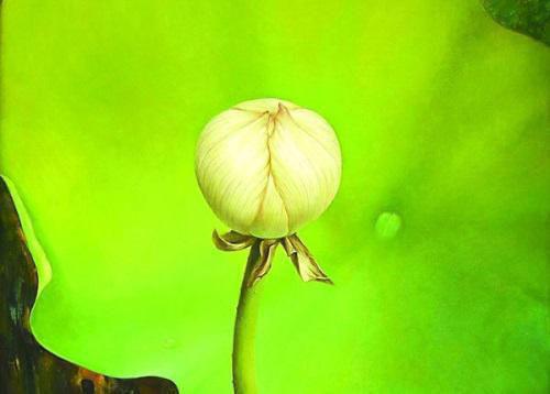 三款猪皮食谱 除了猪皮冻还能这样做