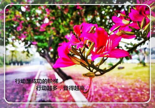 十四种食物改善睡眠质量