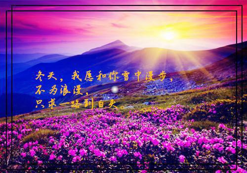 夏季养生，常吃这些食物有好处