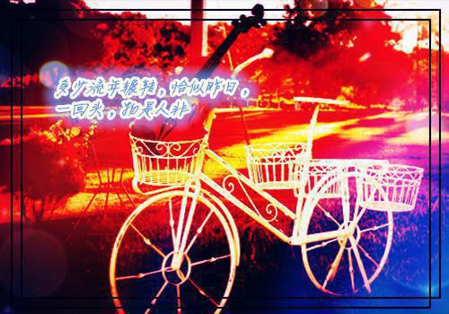 老年人尿频药膳食疗