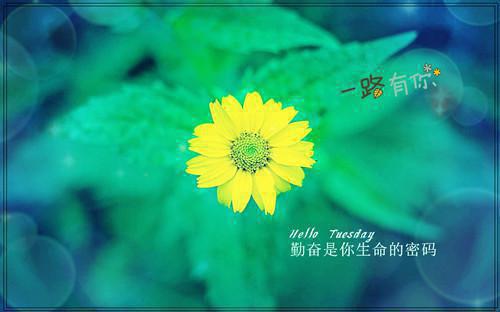 吃完更长胖的3种素食，且吃且小心