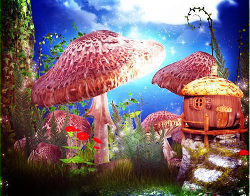 饮食黑白配安度寒燥秋