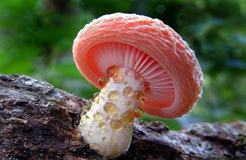 测是否患宫寒症 饮食调养