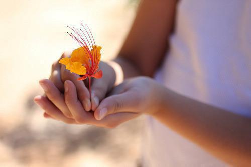 白露饮食进补注意养肺
