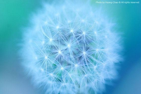 春季多吃蜂蜜可以预防感冒吗