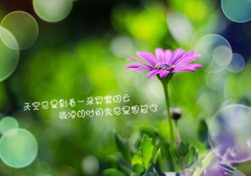 口腔溃疡吃什么蔬菜好?