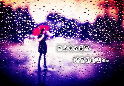 5类碱性蔬菜 清理血液延缓衰老