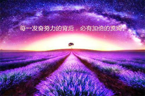 春季吃韭菜的六大好处