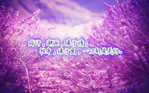 银耳蜂蜜罗汉果 秋季养肺常吃6种食物