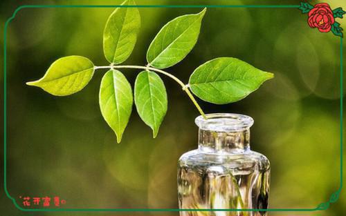 10条重要的健康膳食方式