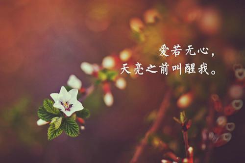 老人吃什么对眼睛好？