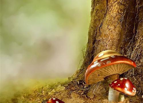 最佳补脑食物！这7种你吃了吗？