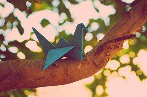 六款药膳治冬季小病