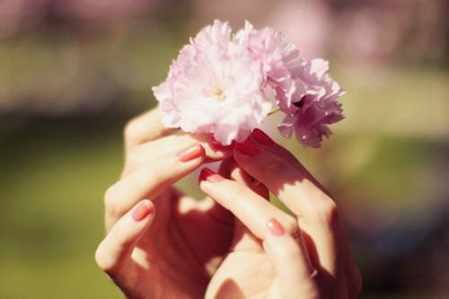 春乏要喝六款粥