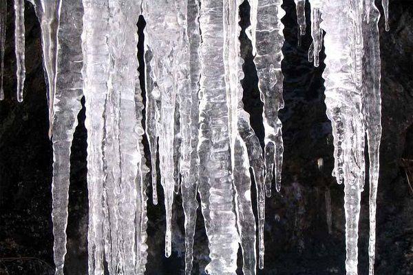 肝硬化应该怎么吃？多吃蜂蜜和空心菜