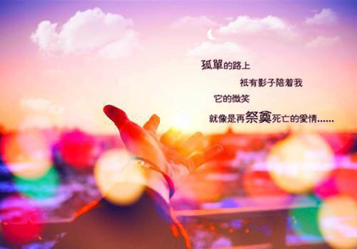 补维生素食谱：黄花菜猪肝
