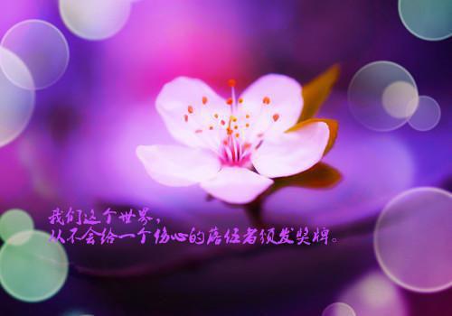 冬至进补三大原则