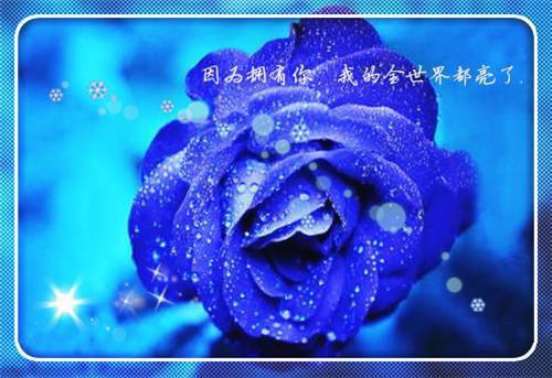 怎样除甲醛 小妙招轻松去除甲醛