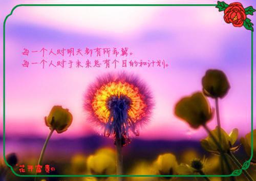 小小番茄显神通 有效去除妊娠斑