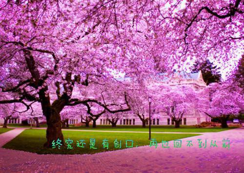 春节后必吃的养胃食物推荐