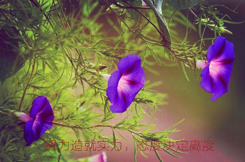 调理肝脏巧用四种水果