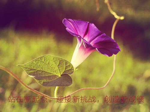 冬季减肥，可以这样做