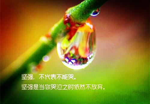 孕期吃水果 居然有6大讲究