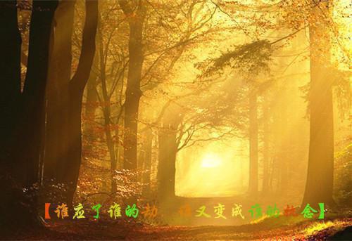 用中药给眼睛做“桑拿”