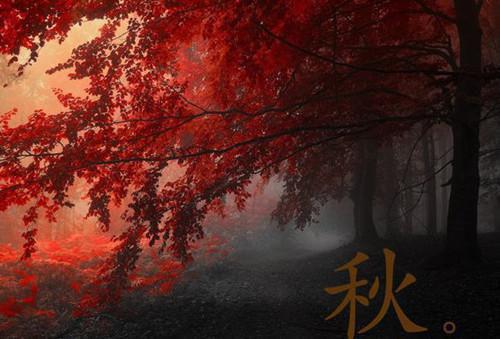 桃红四物汤能去黄褐斑？