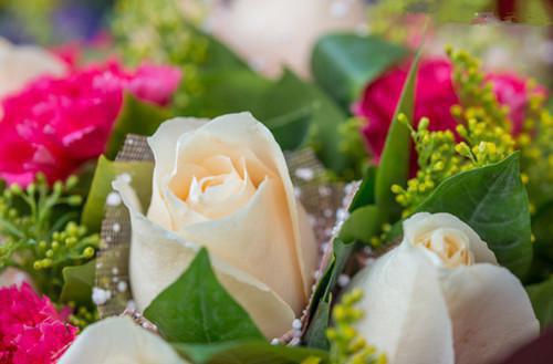 男人真正需要的9种补药