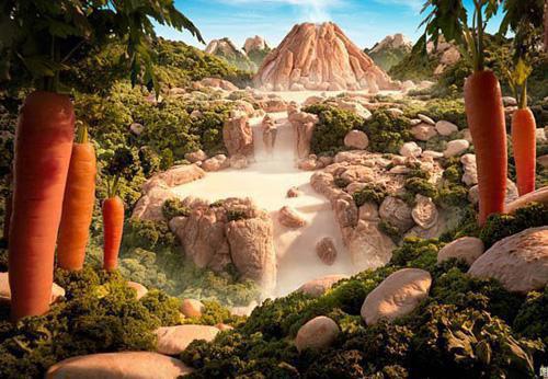 凤尾鱼营养价值剖析