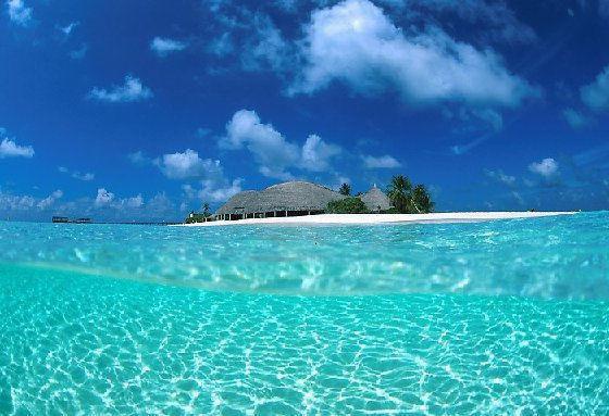 女人吃什么是最补的