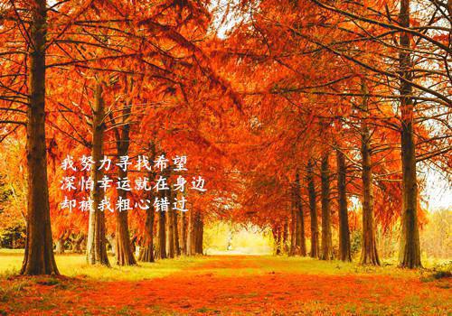 孕妇冬季的饮食有哪些禁忌