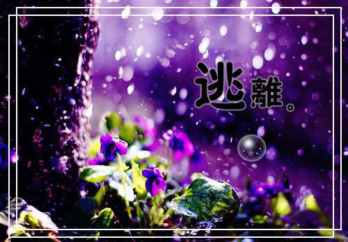 5种饮食习惯 缓解哺乳期便秘