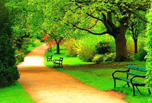 冬补首推四种平民菜