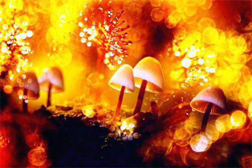 内外兼修告别皮肤瘙痒