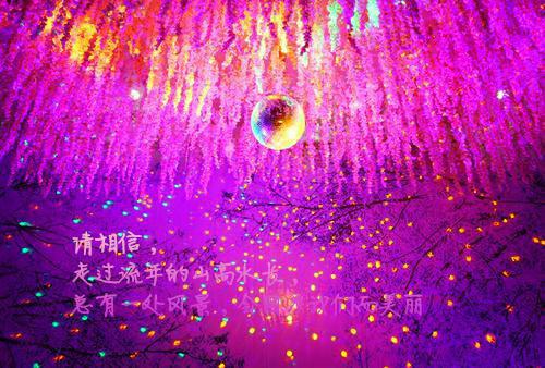 6类准妈妈不适合喝牛奶