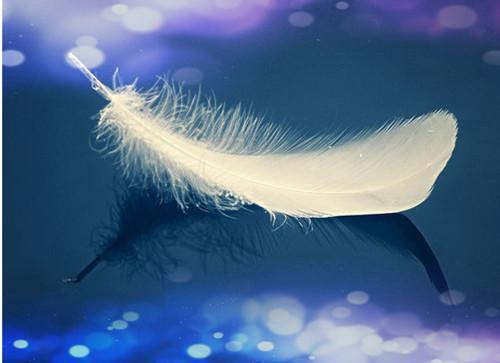 熬夜看球喝绿豆百合粥可清火